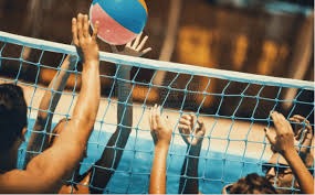 字母不走了，大家开始交易吧