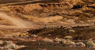 掘金迎战雄鹿前瞻：阵容不整，字母哥领衔雄鹿冲击连胜