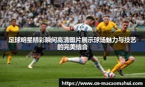 一轮